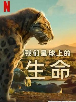 都市纷争